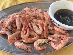 -大湾区中央湿地公园