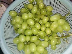 -嘉百乐超市(新东街店)