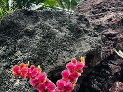 -南通洲际绿博园