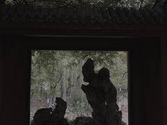 -桂湖森林公园