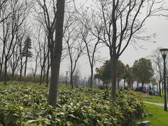 -上海山野camping·户外天幕烧烤·团建拓展营地