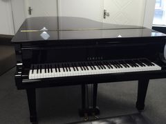 -梅纳·钢琴声乐架子鼓Mena Music(双井店)