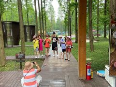 -黄海国家森林公园