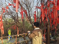 -南翠屏公园