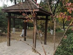 -东升八家郊野公园