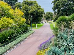 -墨尔本皇家植物园