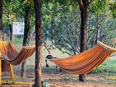 -爪吧宠物乐园 (温榆河示范区店)