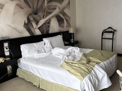 -国家会议中心大酒店