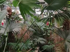 -祥阁食府妈妈菜