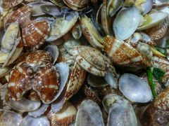 -胖子饺子馆·海鲜家常菜(海军博物馆店)
