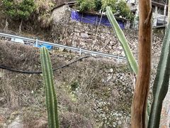 -MOJ coffee(瓯海泽雅水碓坑店)