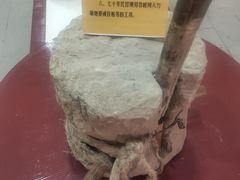 -梁家河村红色旅游区