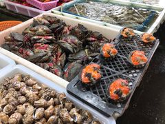 -都斛海鲜街