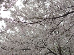 -堤角公园