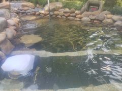 -融汇温泉