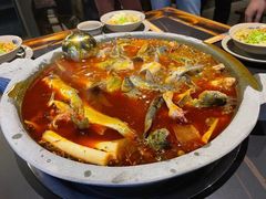 -石锅苗苗鱼(武汉首店)