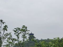 -杭州半山国家森林公园