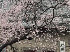 -山东大学(趵突泉校区)