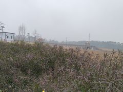 -五里桥文化公园-西侧停车场