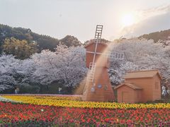 -苏州上方山国家森林公园