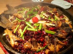 -老板恋上鱼(印象城店)