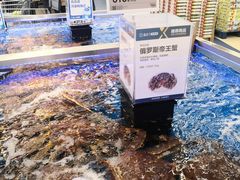 -盒马X会员店(上海森兰商都店)