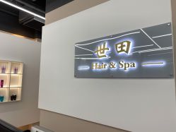 -世田造型