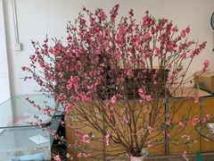 大堂-成珠小凤饼(南华中路店)