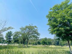 -佛手湖郊野公园