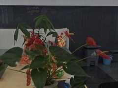 -武汉仁爱口腔(光谷店)