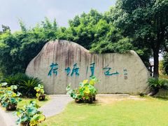 -荷塘月色湿地公园·向阳花洲