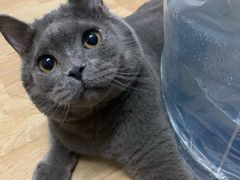 -厝内小眷村(天河南一路店)