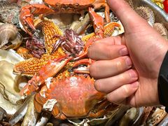 -威海九禧海鲜居渔水饺(经区店)