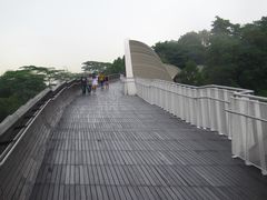 -亨德森波浪桥