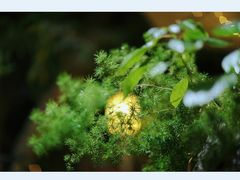 -行人小筑·茶馆(岑村火炉山分店)