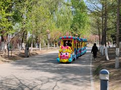 -长白岛森林公园