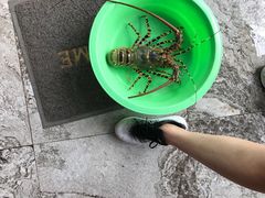 -拉威海鲜市场