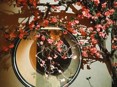 -觅唐MITONG(鸟巢店)