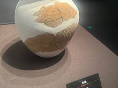 -盘龙城国家考古遗址公园