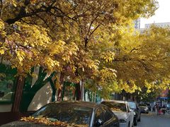 -北京市海淀区翠微小学