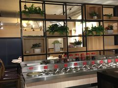 -彤德莱火锅(乐陵路店)