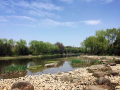 -新江湾城公园