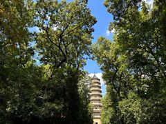 -灵谷景区