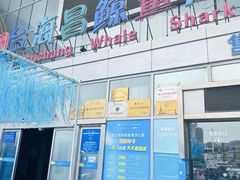 -烟台海昌鲸鲨海洋公园