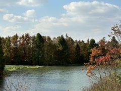 -上海海湾国家森林公园