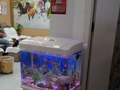 -郑远元专业修脚房·按摩·肉刺·灰指甲(东安路店)