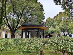 -报恩禅寺