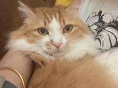 -氷冰凉刨冰甜品(北京路店)