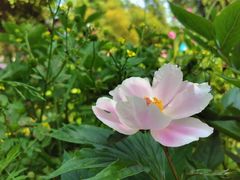 -乌石村