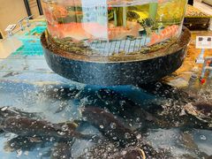 -高佳庄·海鲜酒楼(东港店)
